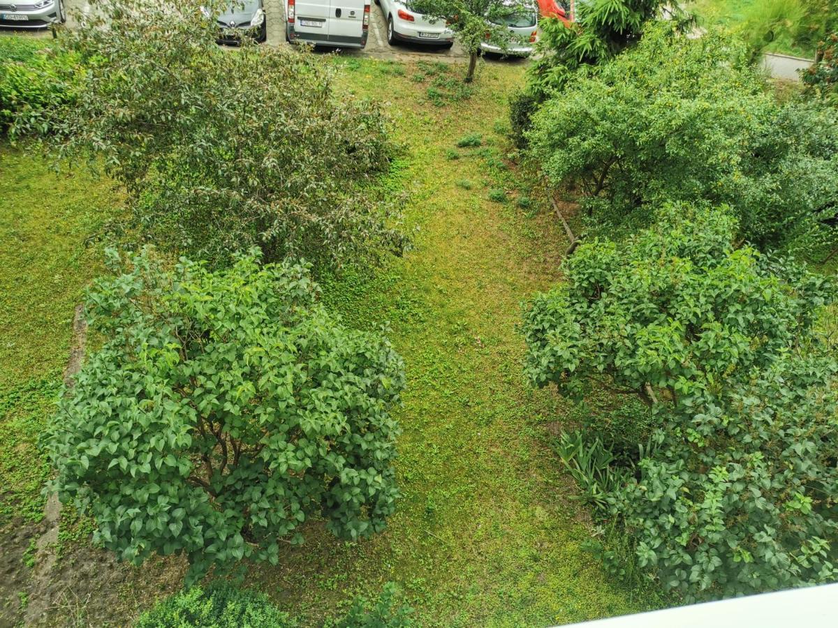 Apartament Wiewiorka Appartement Gdańsk Buitenkant foto