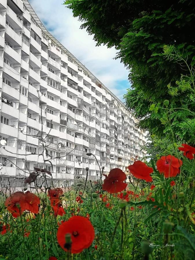 Apartament Wiewiorka Appartement Gdańsk Buitenkant foto